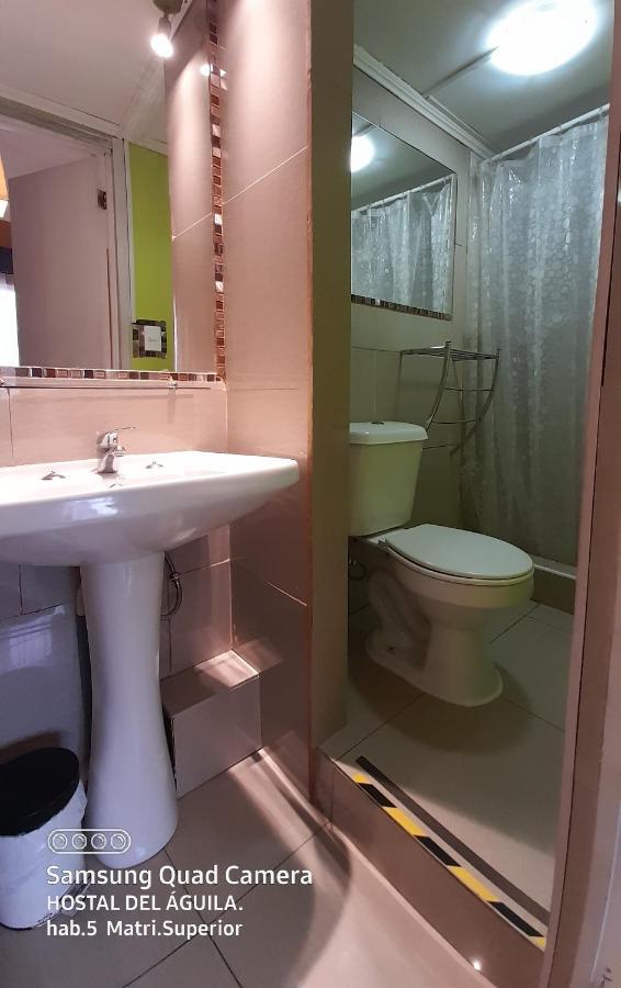 Hostal Del Aguila Vina del Mar Eksteriør billede